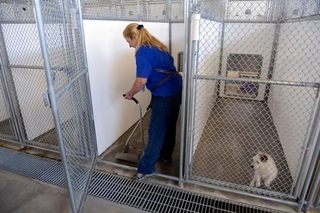 Dog Kennel and Vet Clinic Wastewater Treatment… | Onsite Installer